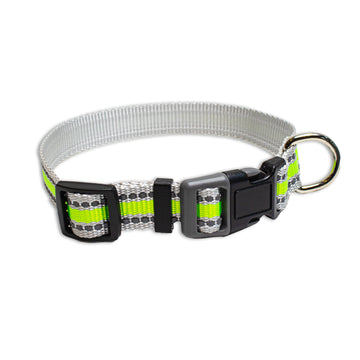 Pawsindia Reflective Nylon Collar for Small Dogs - Green